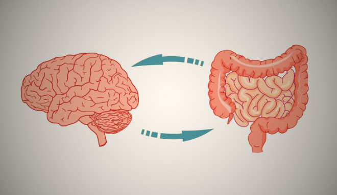 Ini Dia Kesehatan Usus dan Kondisi Mental yang Saling Terkait