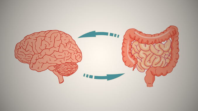 Ini Dia Kesehatan Usus dan Kondisi Mental yang Saling Terkait